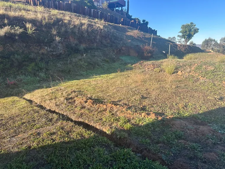 Hillside slope after clearing and grubbing work